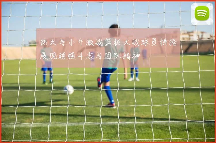 热火与小牛激战篮板大战球员拼抢展现顽强斗志与团队精神