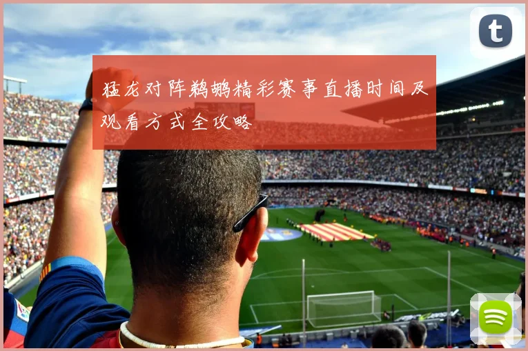 猛龙对阵鹈鹕精彩赛事直播时间及观看方式全攻略