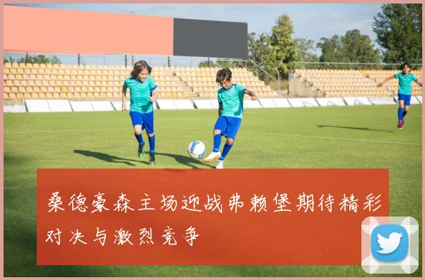 桑德豪森主场迎战弗赖堡期待精彩对决与激烈竞争