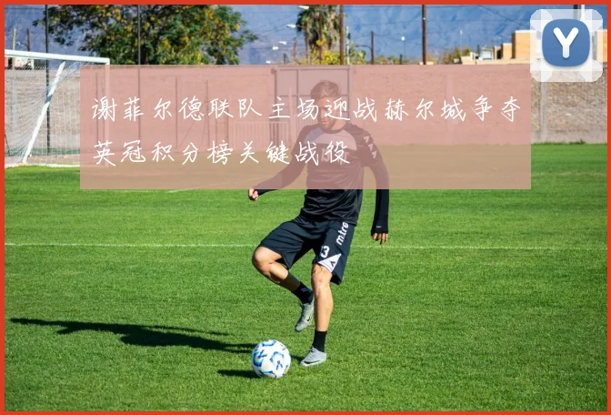 谢菲尔德联队主场迎战赫尔城争夺英冠积分榜关键战役