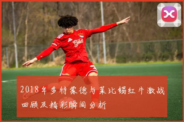 2018年多特蒙德与莱比锡红牛激战回顾及精彩瞬间分析