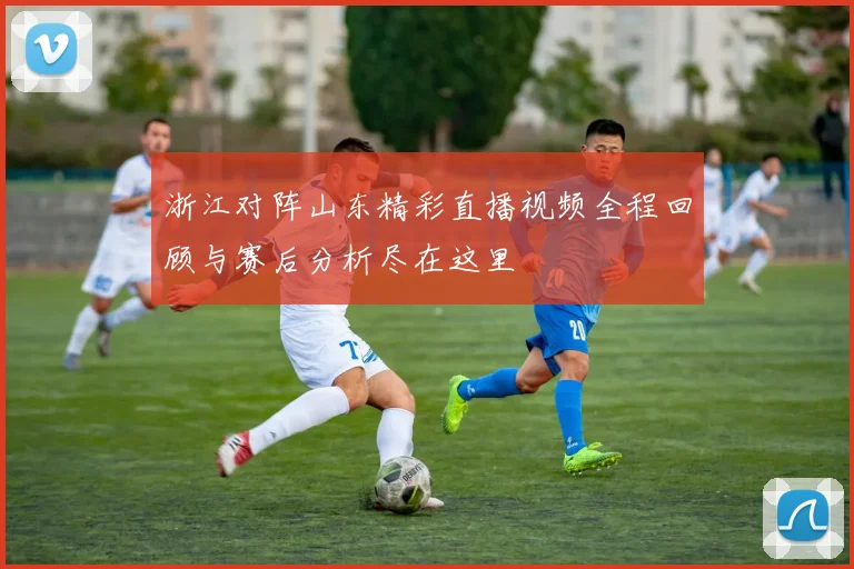 浙江对阵山东精彩直播视频全程回顾与赛后分析尽在这里