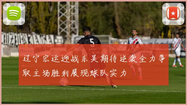 辽宁宏运迎战东吴期待逆袭全力争取主场胜利展现球队实力