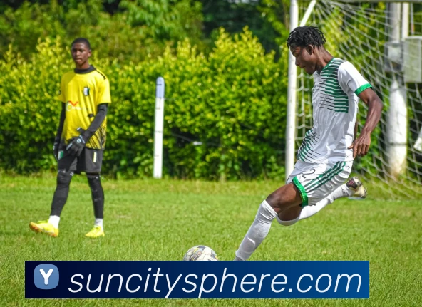 太阳城娱乐平台生态图